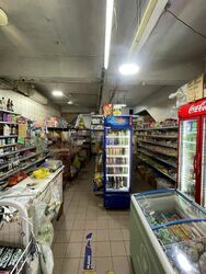 Upper Paya Lebar Road (D19), Shop House #491233081